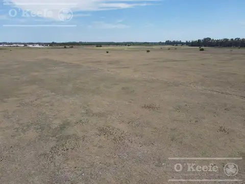 Chacra Horticola en venta de 4 has en La Plata