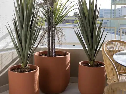 Departamento en Alquiler en Parque Patricios, $ 650.000