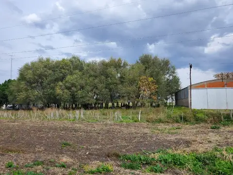 CAMPO 13HAS ENTRE RIOS