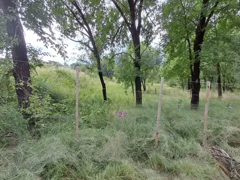 Terreno en Venta en Centro, USD 10.000