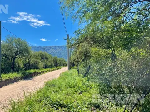 Terreno en Venta 32  mts Fondo