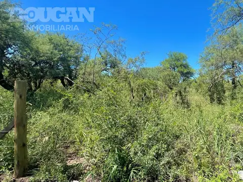 Terreno en Venta 33  mts Frente