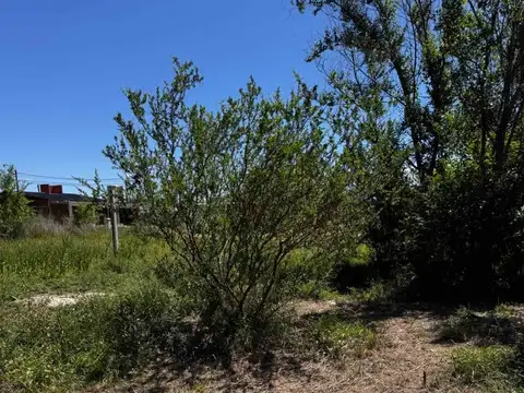VENDO LOTE 250m EN COSQUIN, CÓRDOBA