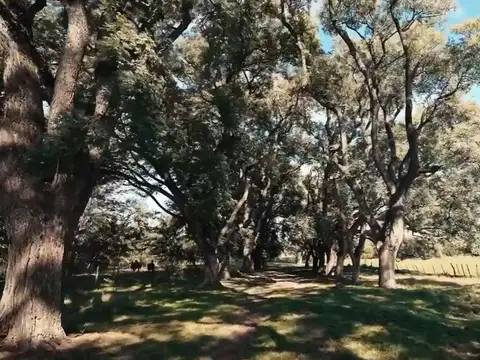 Terreno en Venta en Carabassa, USD 83.000