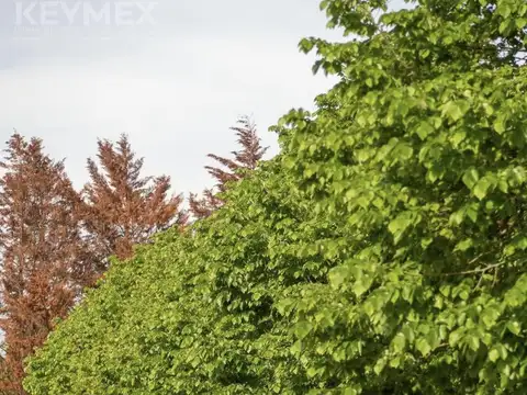 Terreno en Venta de 1507,0 m2