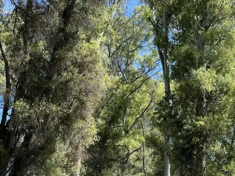 Terreno en Venta de 1507,0 m2