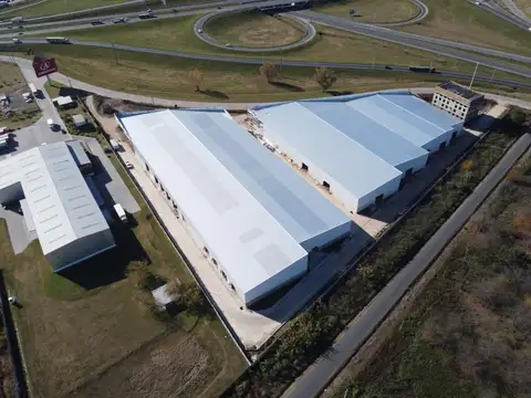 José María Rosa  al 8100