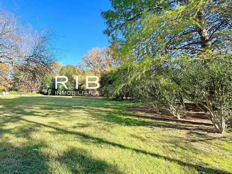 Lote Central de 1940 m2