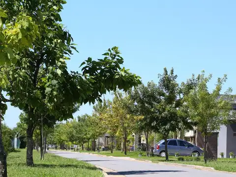 Terreno en Venta en Barrancas de Iraola, USD 120.000