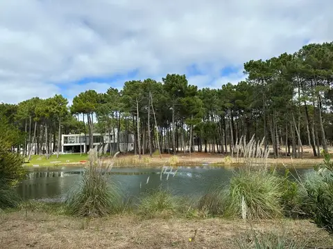 Ruta Provincial 11 300