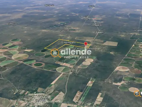 Campo en Venta de 927  ha