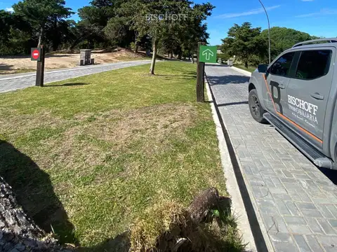 AVENIDA 3 Y PASEO 168