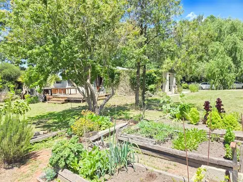 Local en Alquiler en Rincon De Milberg, USD 3.200