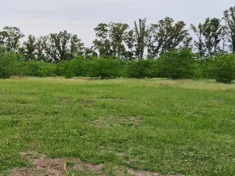 Venta lote de 5200m2 en Etchegoyen, Exaltacion de la Cruz