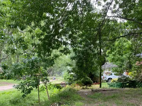 Avenida 3 e/ Los Pensamientos y Las Lilas