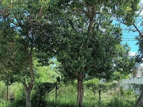 MAROTO PROPIEDADES- ALQUILA-IDEAL INVERSORES