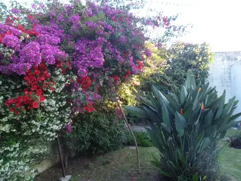 Casa 3 ambientes con 1 baño