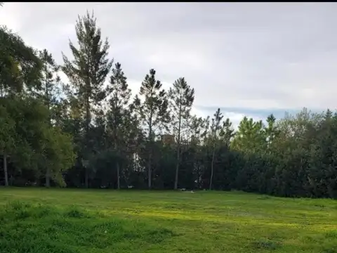 Juana Azurduy Lote / N° 1428