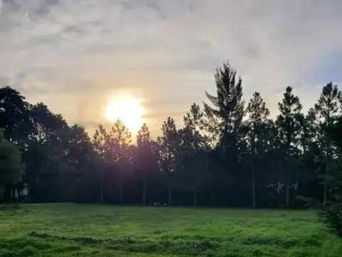 Terreno en Venta en San Diego Country Club, USD 240.000