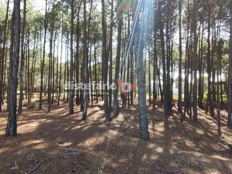 Terreno en Venta en Pinamar, USD 150.000