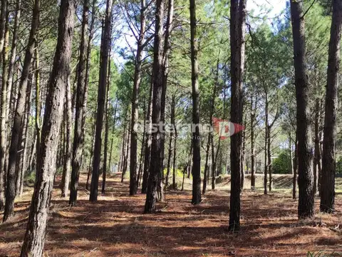 Terreno en Venta en Pinamar, USD 150.000