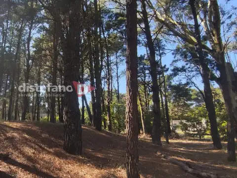 Terreno - Venta - Argentina, PINAMAR