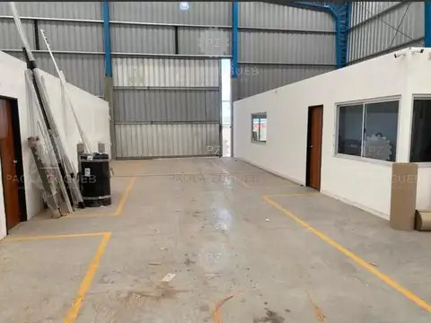 Cacique Telomian Condie 1500