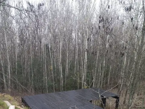 Terreno en Venta de 600,0 m2