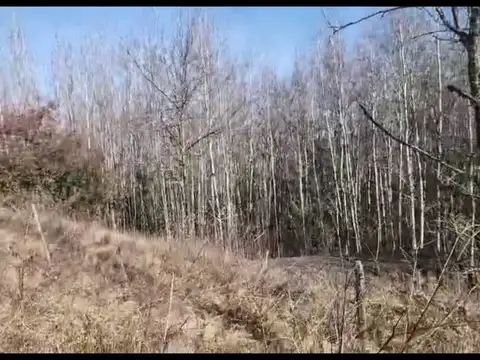 PARAISO S/N, YACANTO, CALAMUCHITA, CORDOBA 100