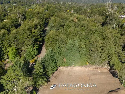 Terreno en Venta en Epulaufquen, USD 220.000