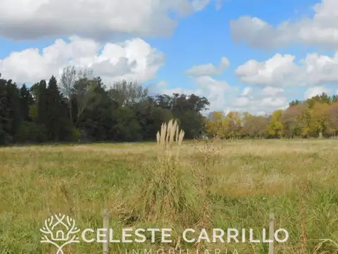 Barrio El Remanso - Exaltación de la Cruz