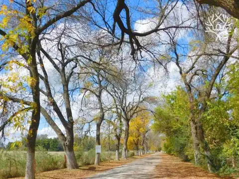 Venta - Lote - Barrio El Remanso - Exaltación de la Cruz