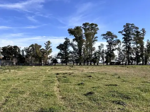 Terreno en Marcos paz, Gral Rodriguez. 125 Hectáreas.