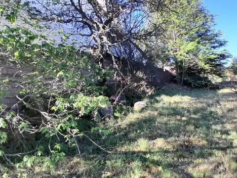 Avenida Malvinas Argentinas