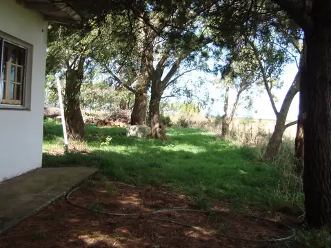 Quinta en Venta en Mar Del Plata, USD 420.000