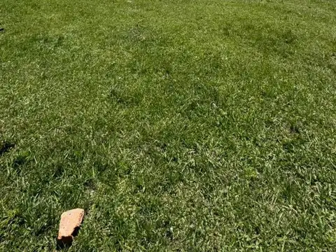 Lote en venta sobre ruta en Cnia. Carolina