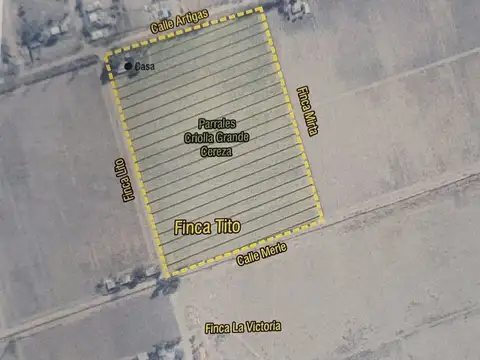 Venta Finca Don Tito 5 Ha, San Rafael. Gouge