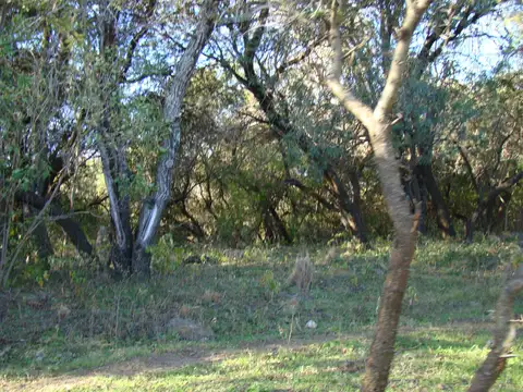 Terreno en Venta, FOT 0.3