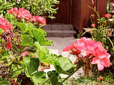 Dúplex en alquiler temporario - 1 Dormitorio - Mar del Plata