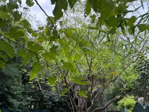 Terreno en Venta en Funes, USD 49.000