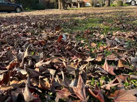 Terreno en Venta 20  mts Frente