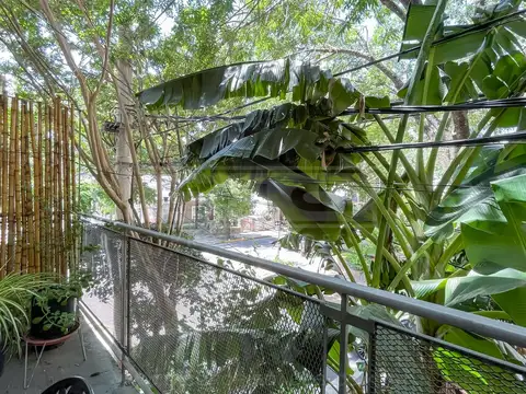 Depto Tipo Casa en Alquiler al Este