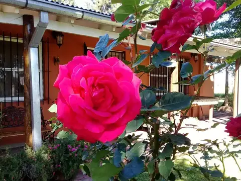 CAMPO EN VENTA EN LOBOS 54 HECTAREAS