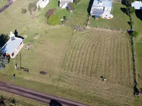 Los Delfines entre Los Nautilus y Los Salmones