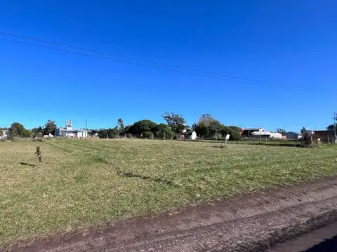 Los Delfines entre Los Nautilus y Los Salmones