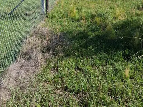 Terreno en Venta de 3277,0 m2