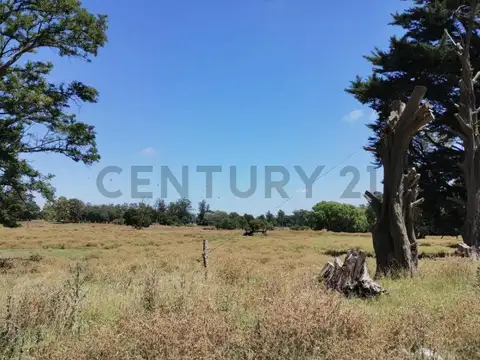 Juan Calchaquí 6535 , Piso 0