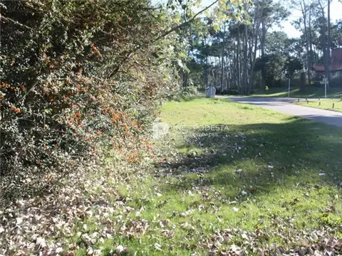 Terreno en Venta en Punta del Este, USD 194.000