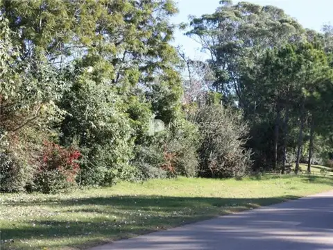 Golf a 2 cuadras del la rambla