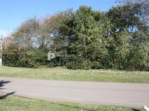 Terreno en Venta de 967,0 m2